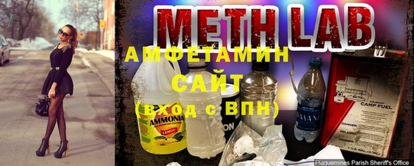 шишки Бородино